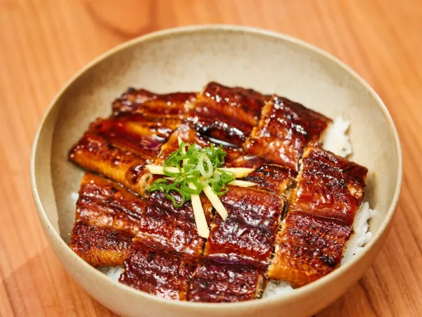 Unagi Don – glasierter Aal auf Reis