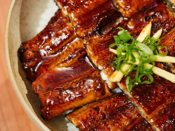 Unagi Don Nahaufnahme